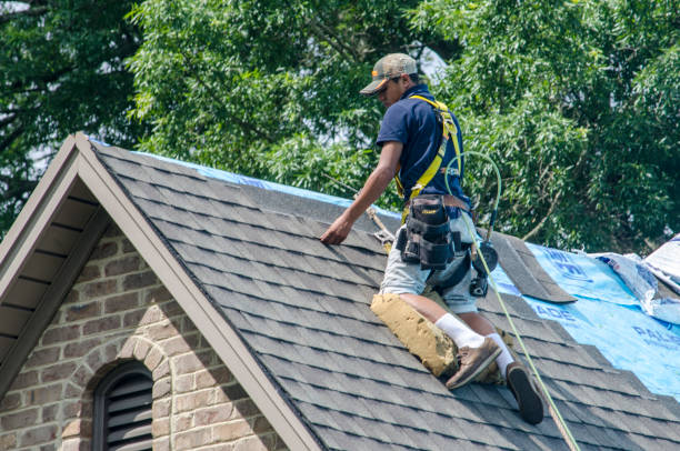 Best Roof Gutter Cleaning  in Hartford, WI